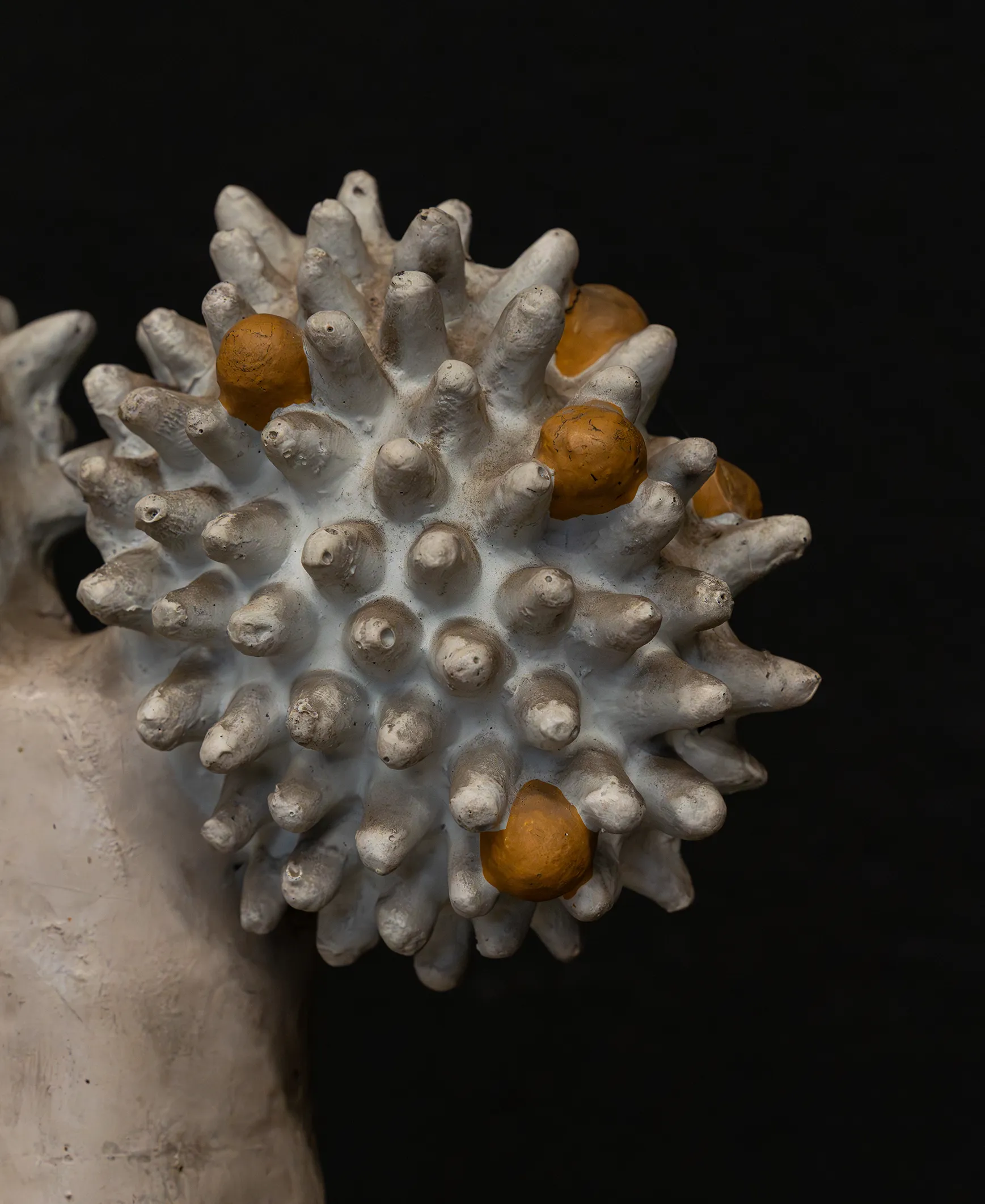 14_SPAZIO26-sito_4